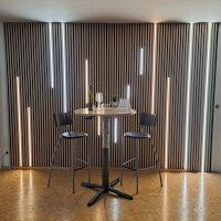 Lichtleisten für Akustikpaneele