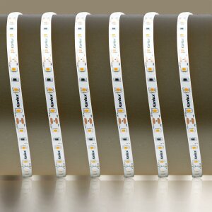 LED Streifen | 12 V | 4,8 Watt | 60  LED/M | 270 - 320 Lumen/M | IP65